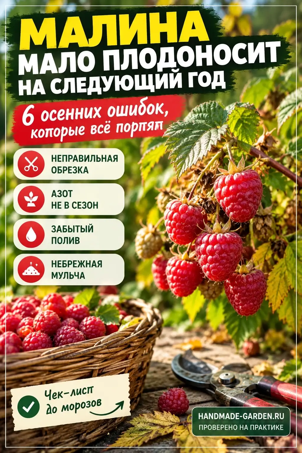малина плодоносит хуже с каждым годом