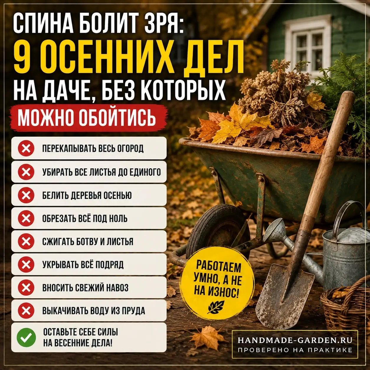 девять привычных осенних действий, которые на деле только вредят саду и грядкам