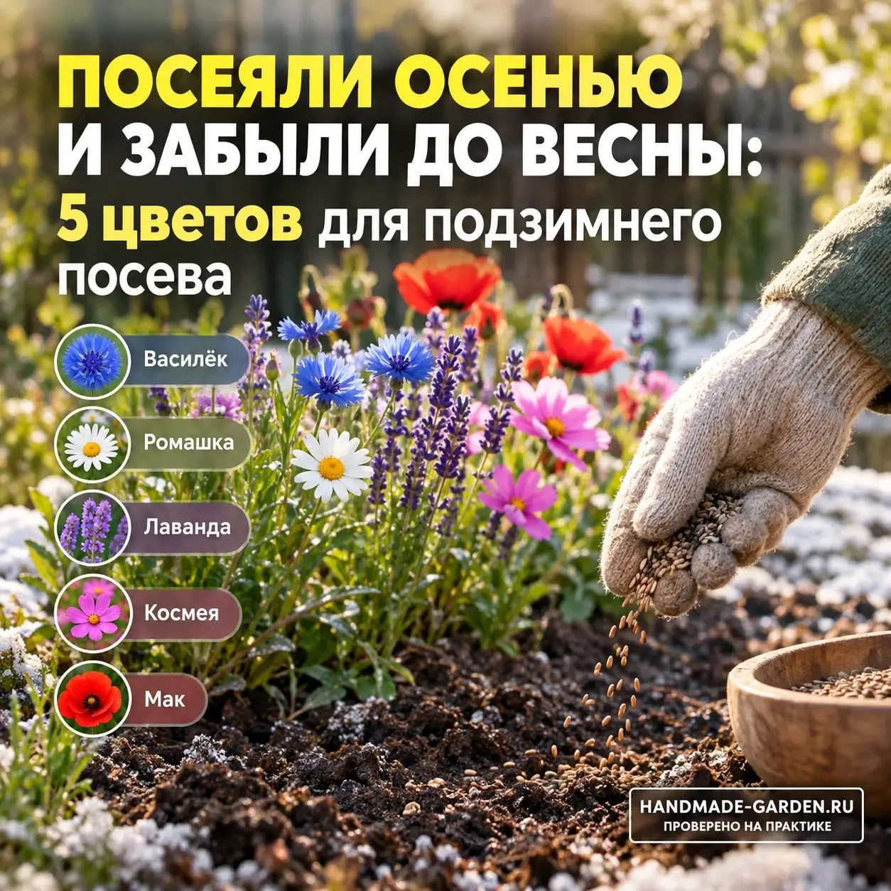 Подзимний посев цветов