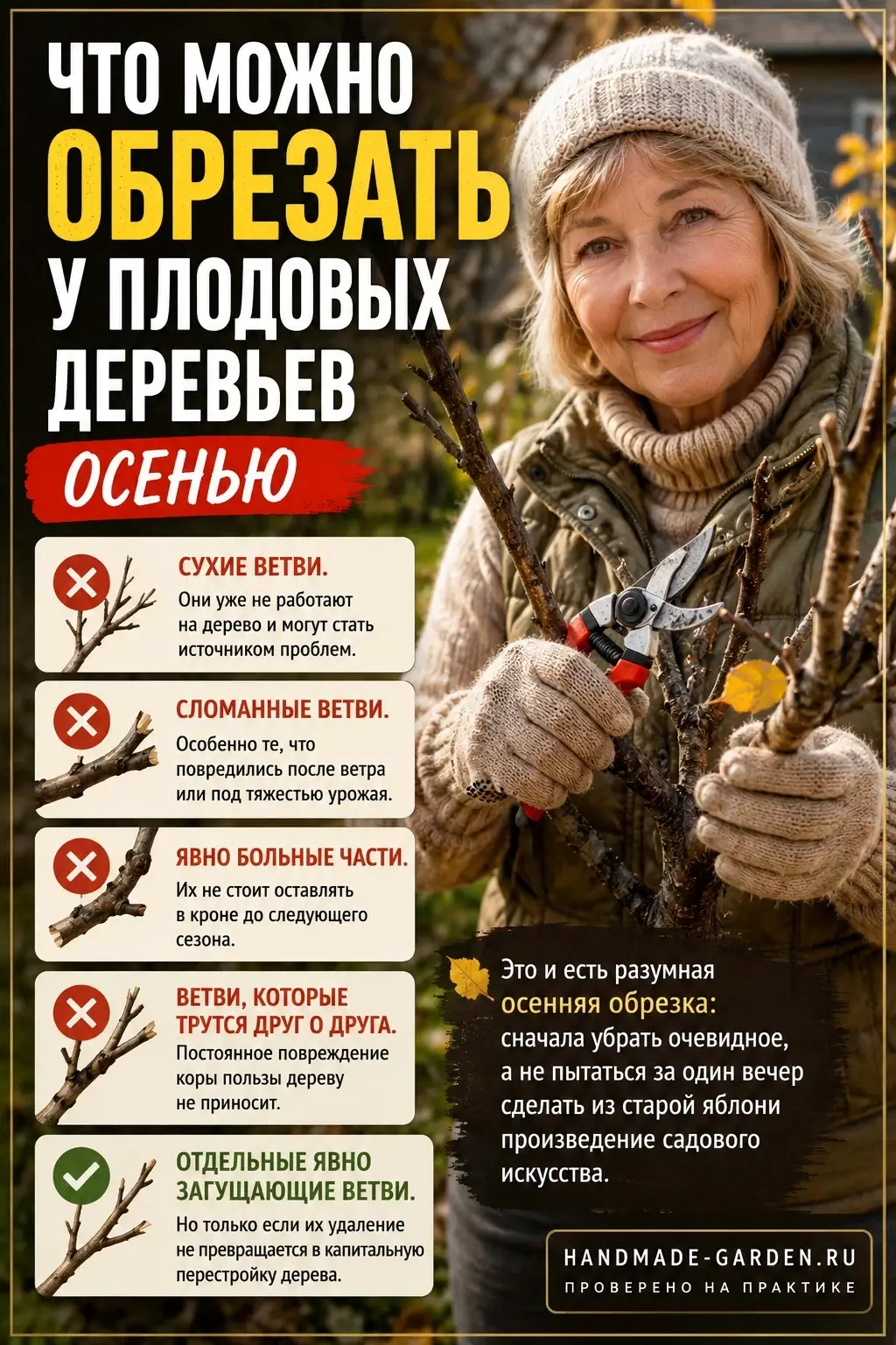 Что обрезать у плодовых деревьев осенью