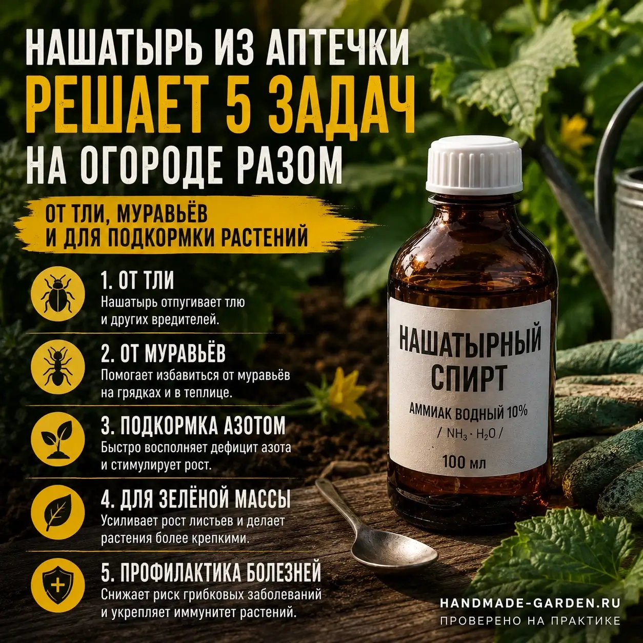 Нашатырь из аптечки решает пять задач на огороде разом: от тли, муравьёв и для подкормки растений
