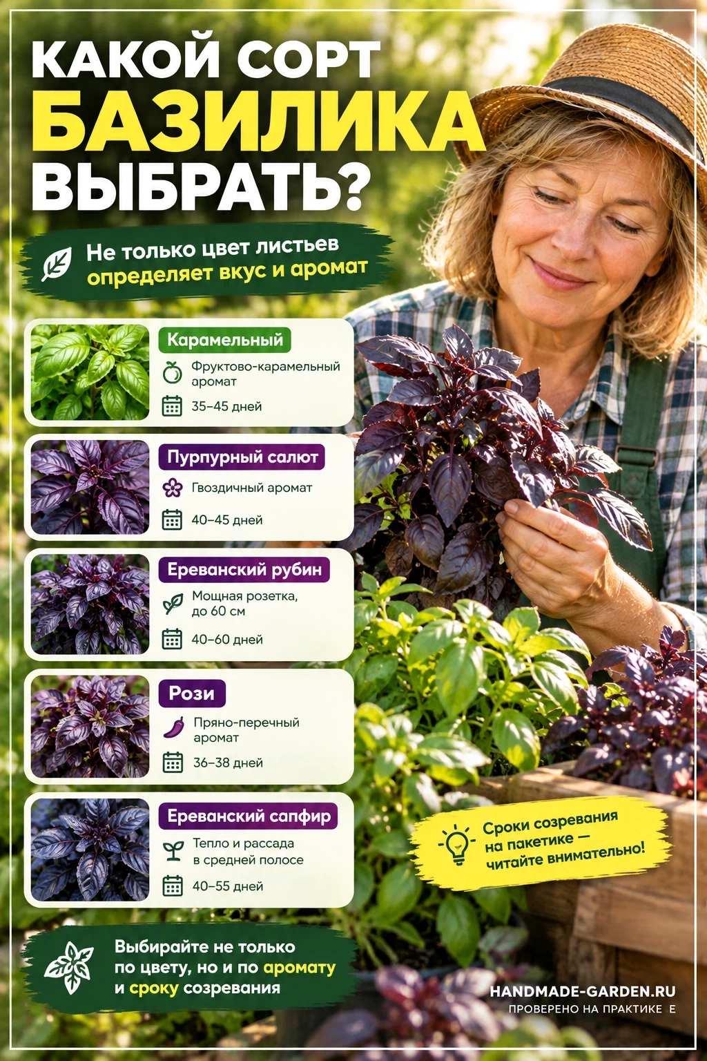 Какой сорт базилика выбрать
