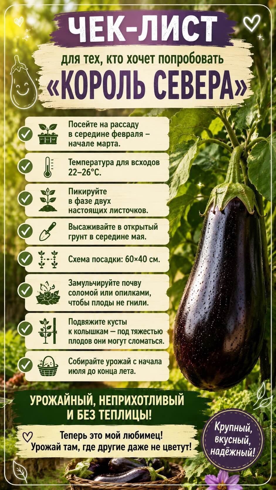 чек-лист для тех, кто хочет попробовать&nbsp;&laquo;Король Севера&raquo;