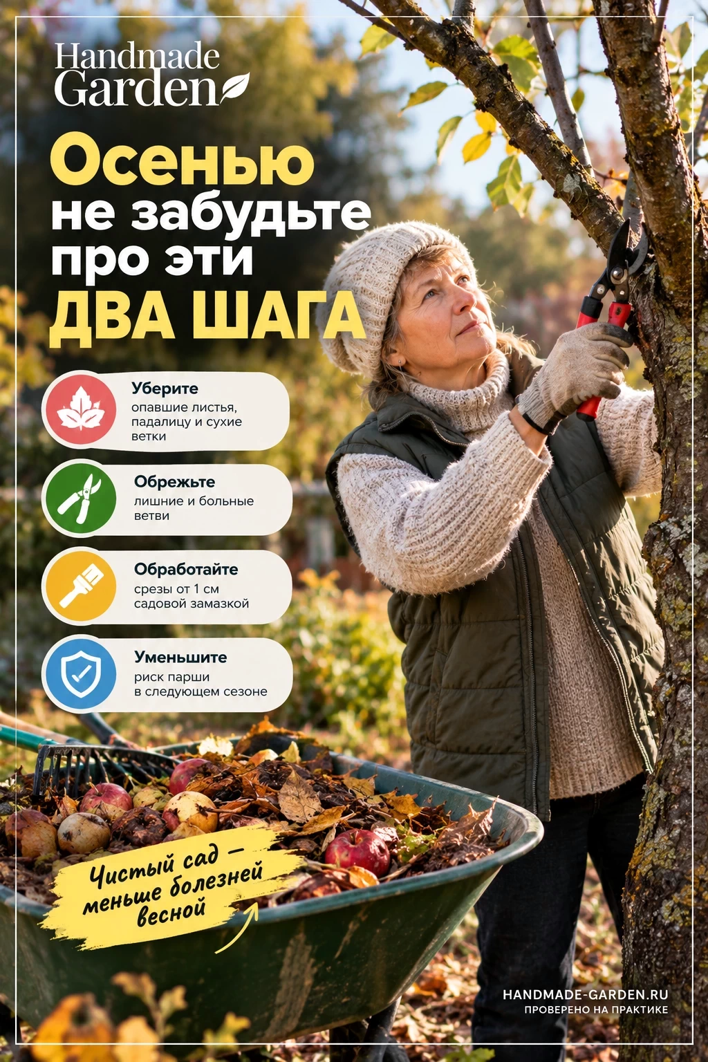 Чем обработать яблоню от парши осенью