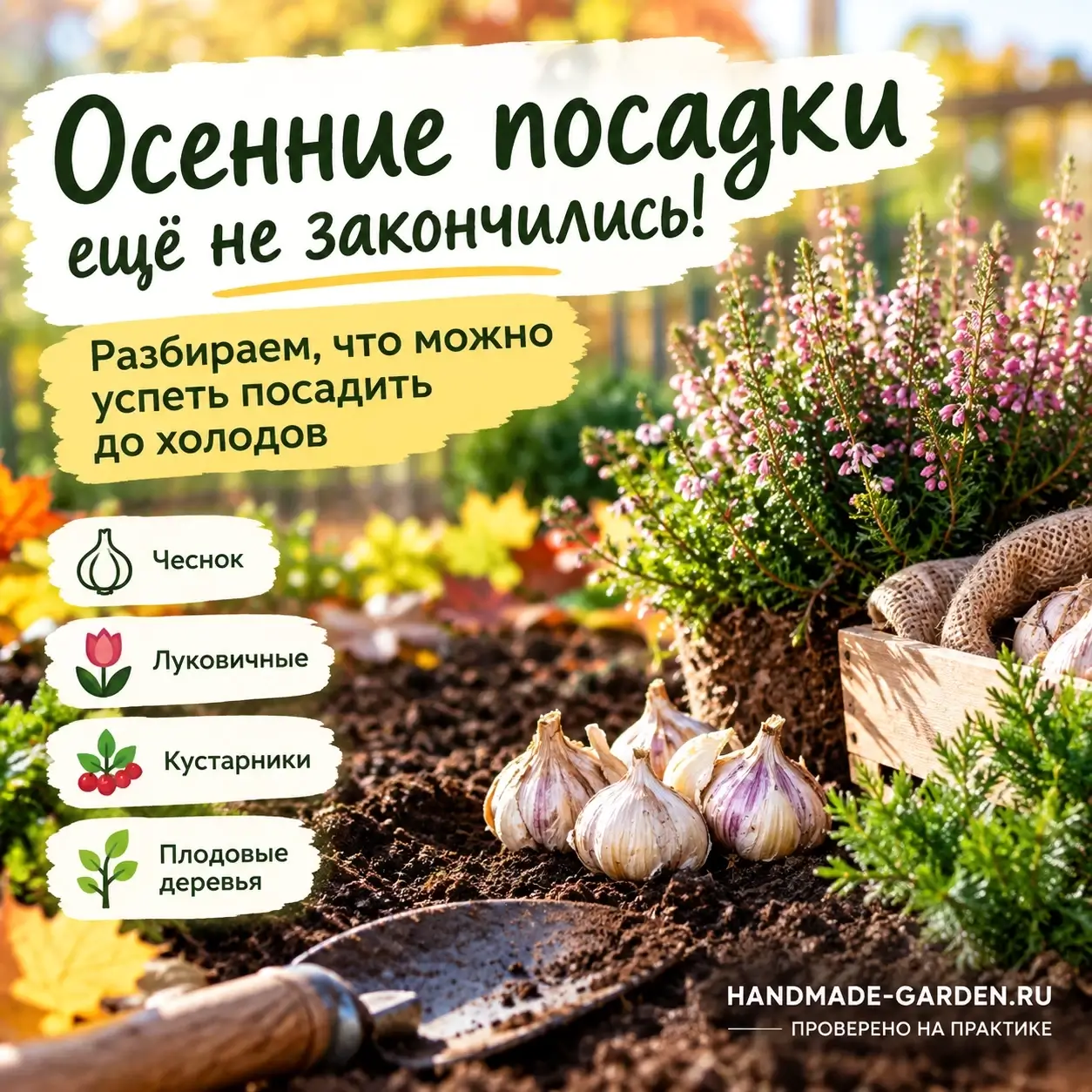 Не всё ещё поздно: какие посадки успеют прижиться до зимы