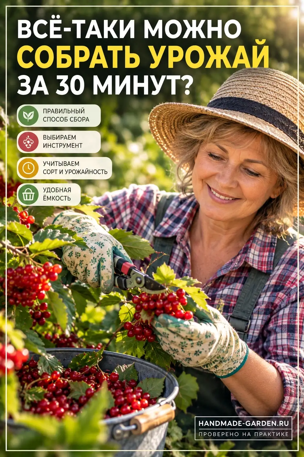 Когда облепиха собирается легче