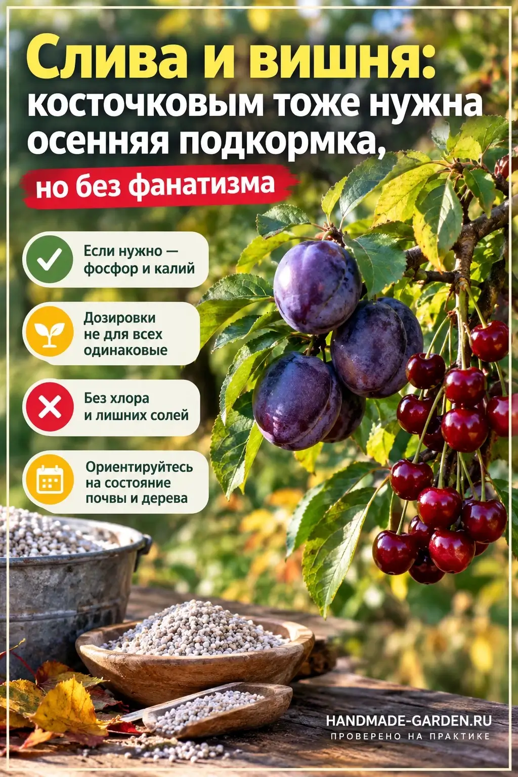 Осенняя подкормка косточковых деревьев