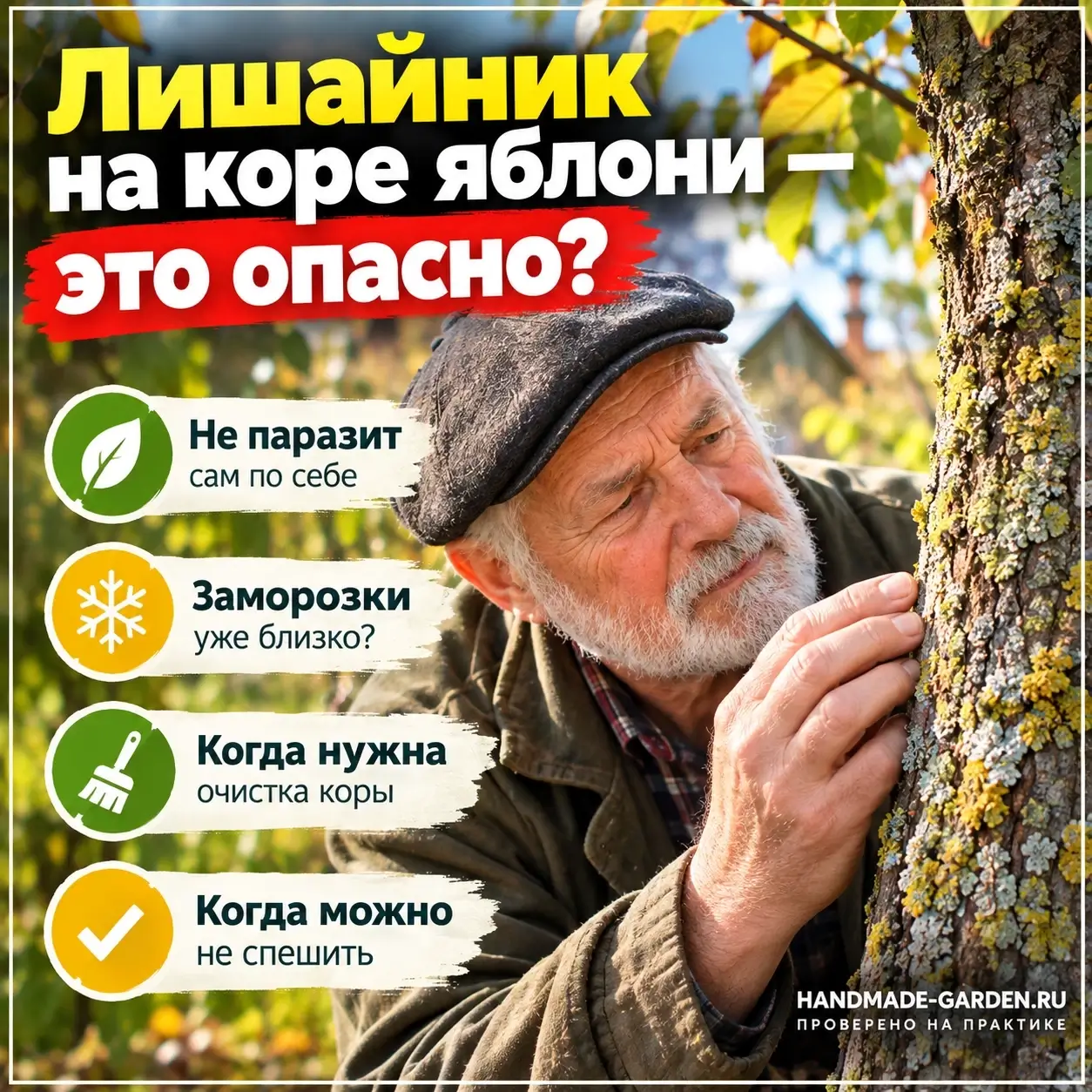 Лишайник на стволе яблони