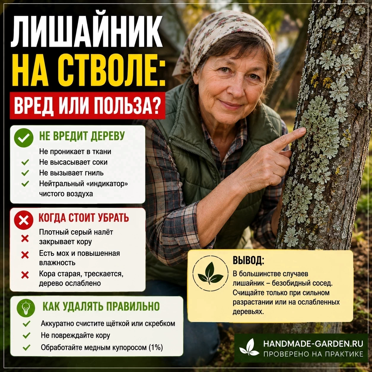 Лишайник на стволе &mdash; угроза дереву или просто безобидный сосед? Разбираемся, надо ли его счищать