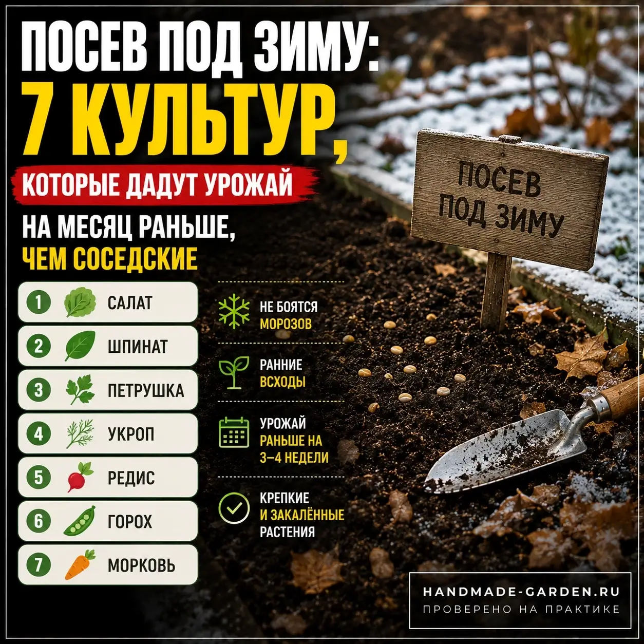 семь культур, которые стоит сеять под зиму