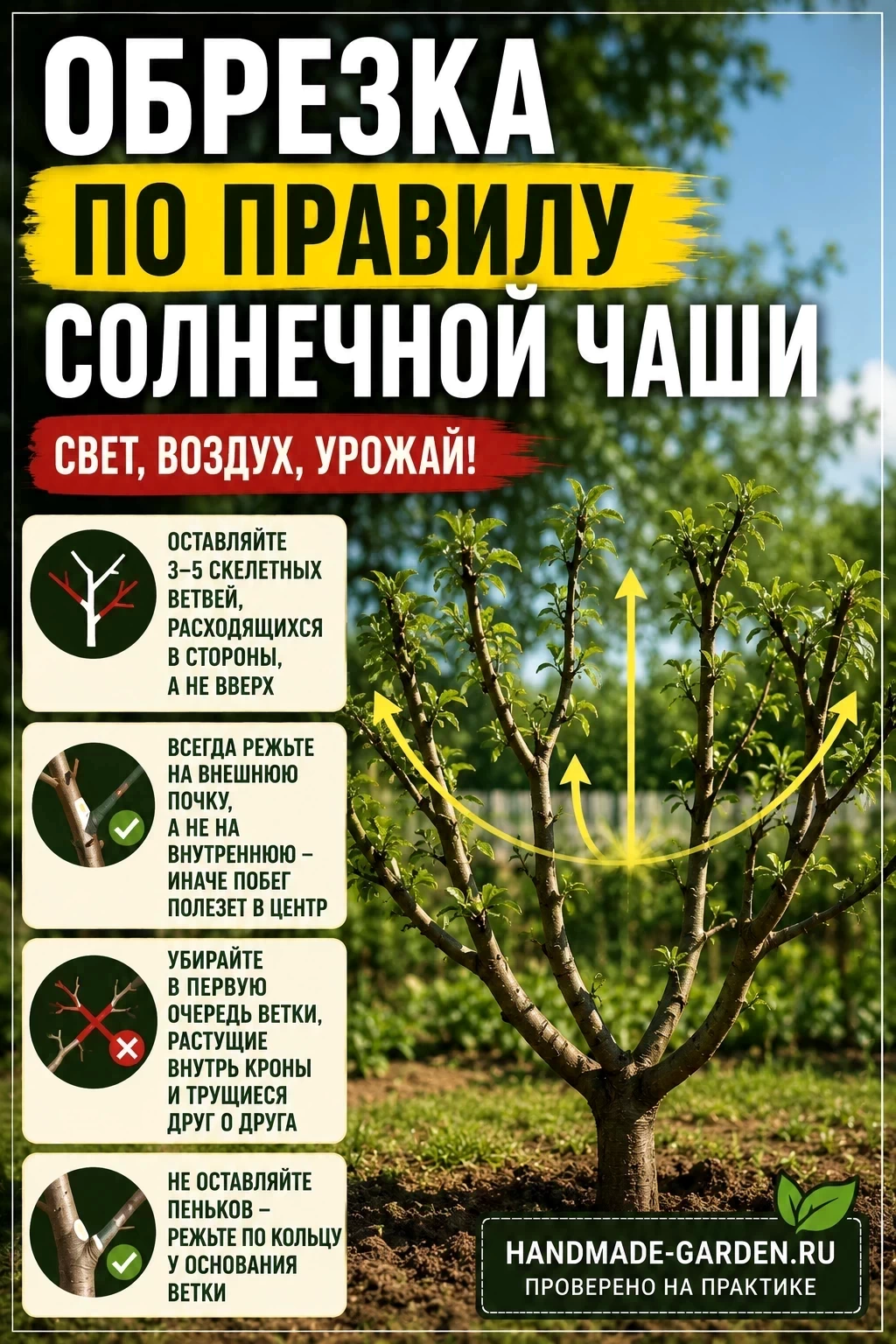 Что такое правило «солнечной чаши»