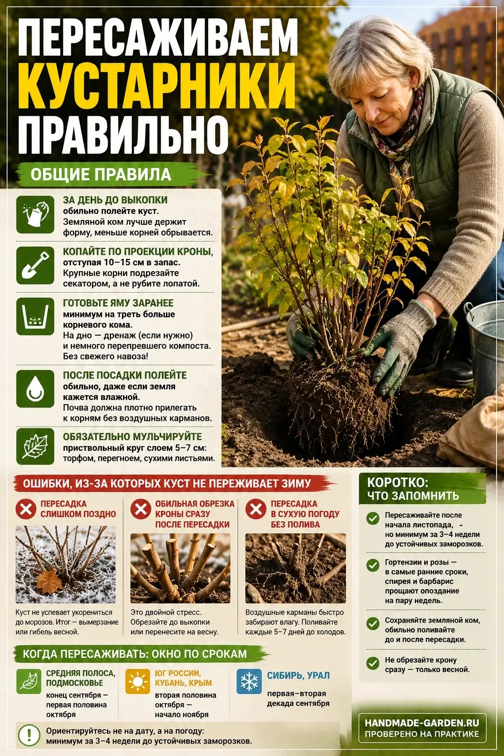 Осенняя пересадка цветников