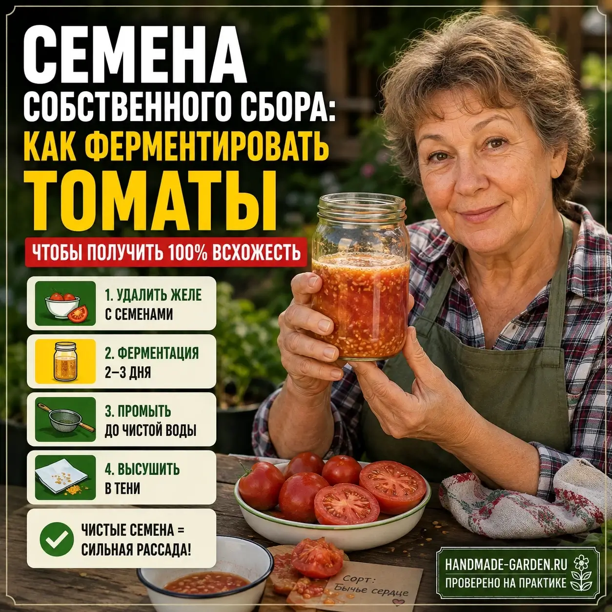 Семена собственного сбора: как ферментировать томаты, чтобы получить 100% всхожесть