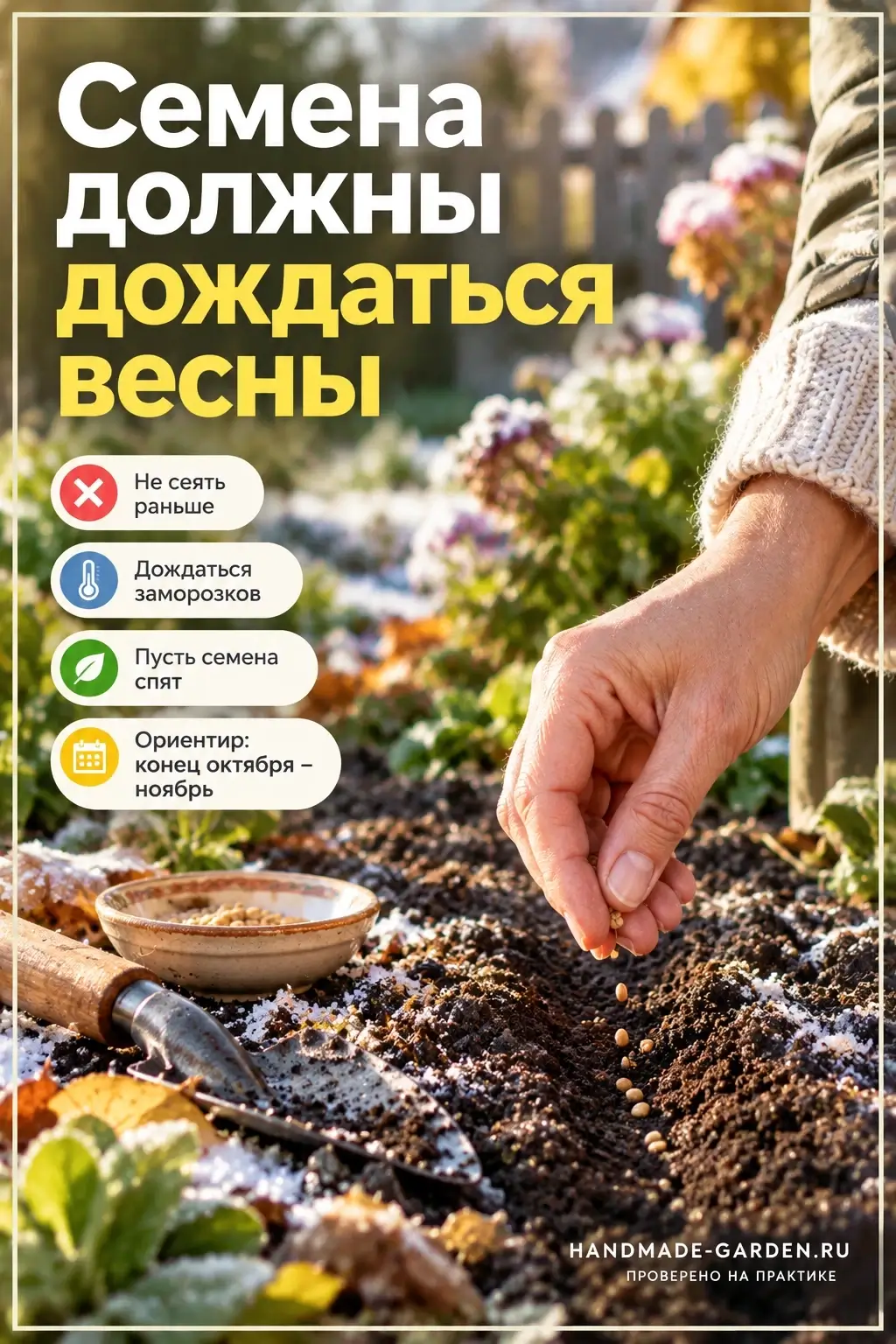 Не все цветы можно сеять под зиму