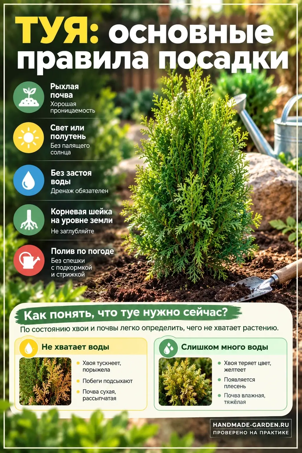Посадочная яма для туи