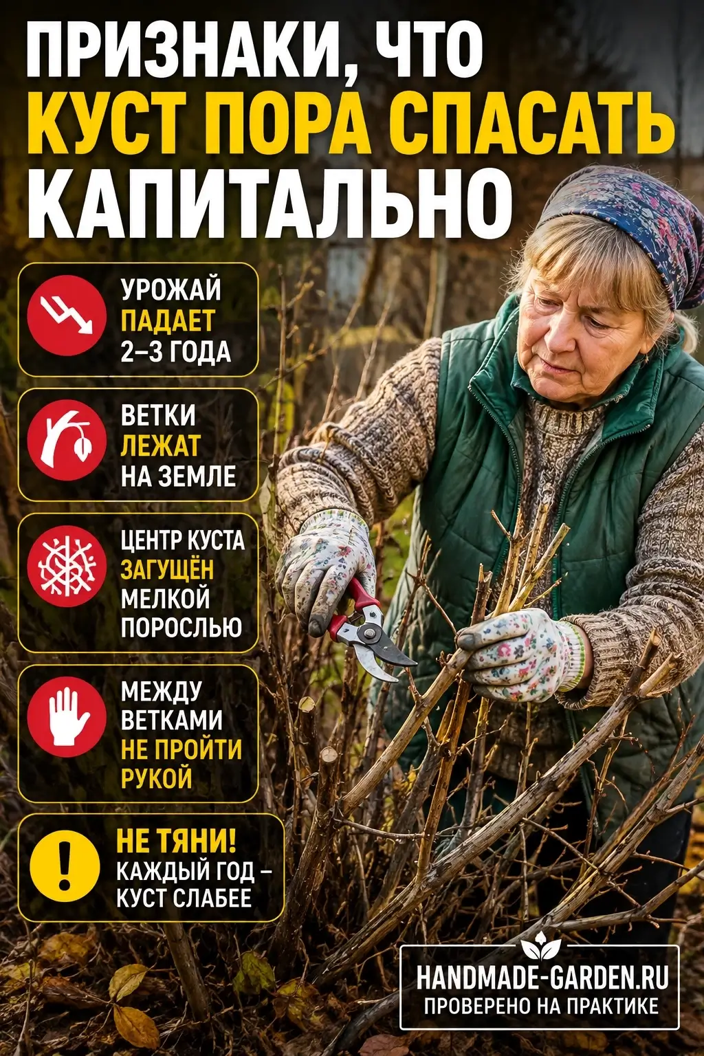 Кардинальная обрезка смородины