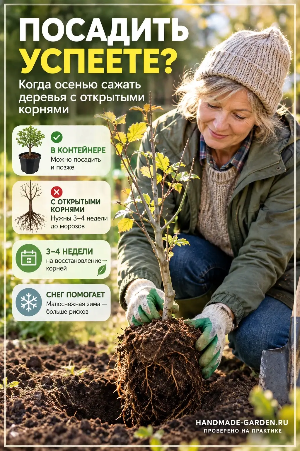 Когда саженец лучше высаживать