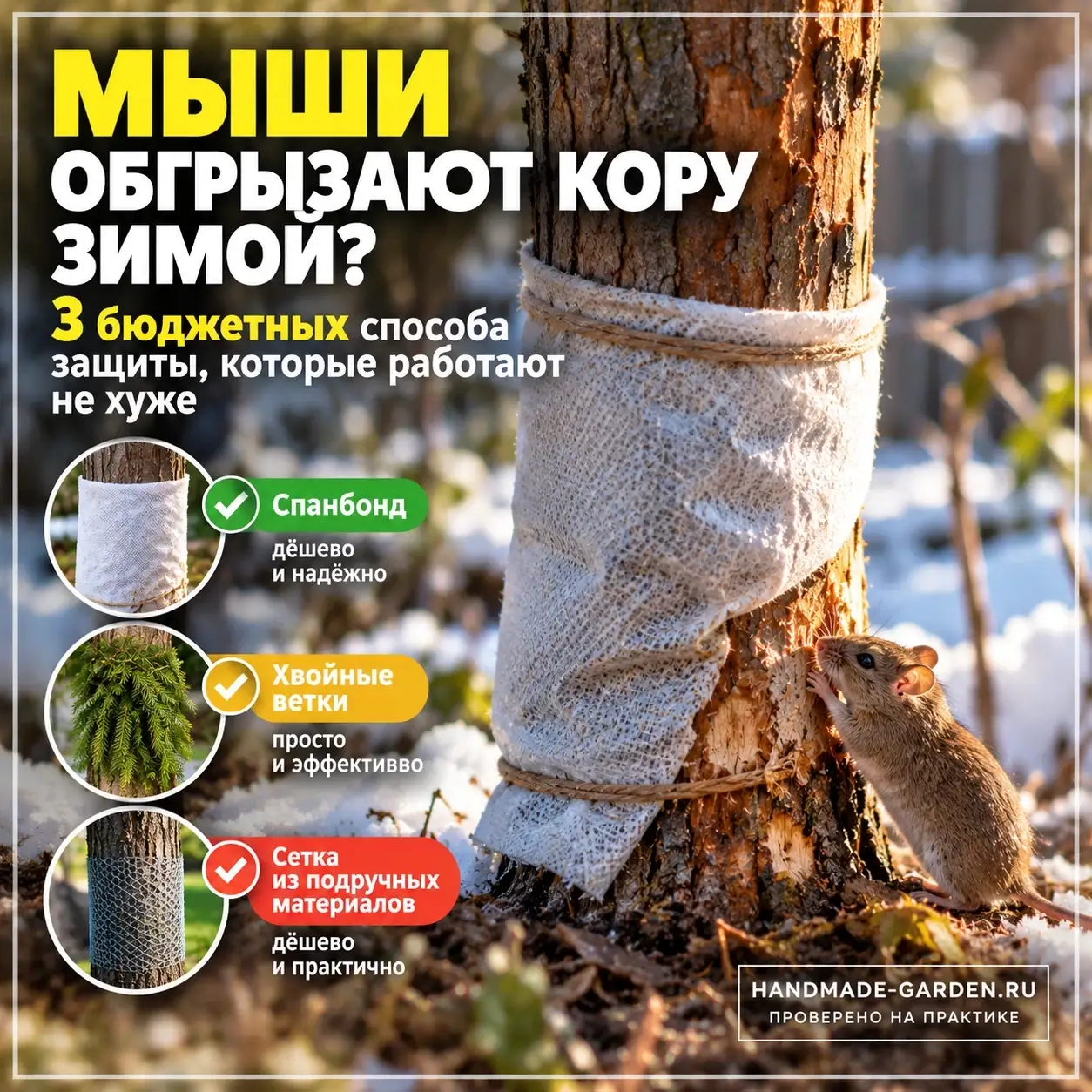 Мыши грызут кору зимой: 3 бюджетные защиты, которые работают лучше покупных сеток