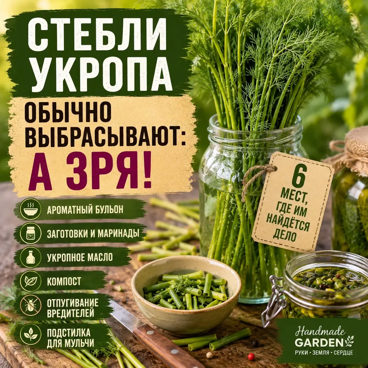 Стебли укропа обычно выбрасывают: шесть мест, где им найдётся дело