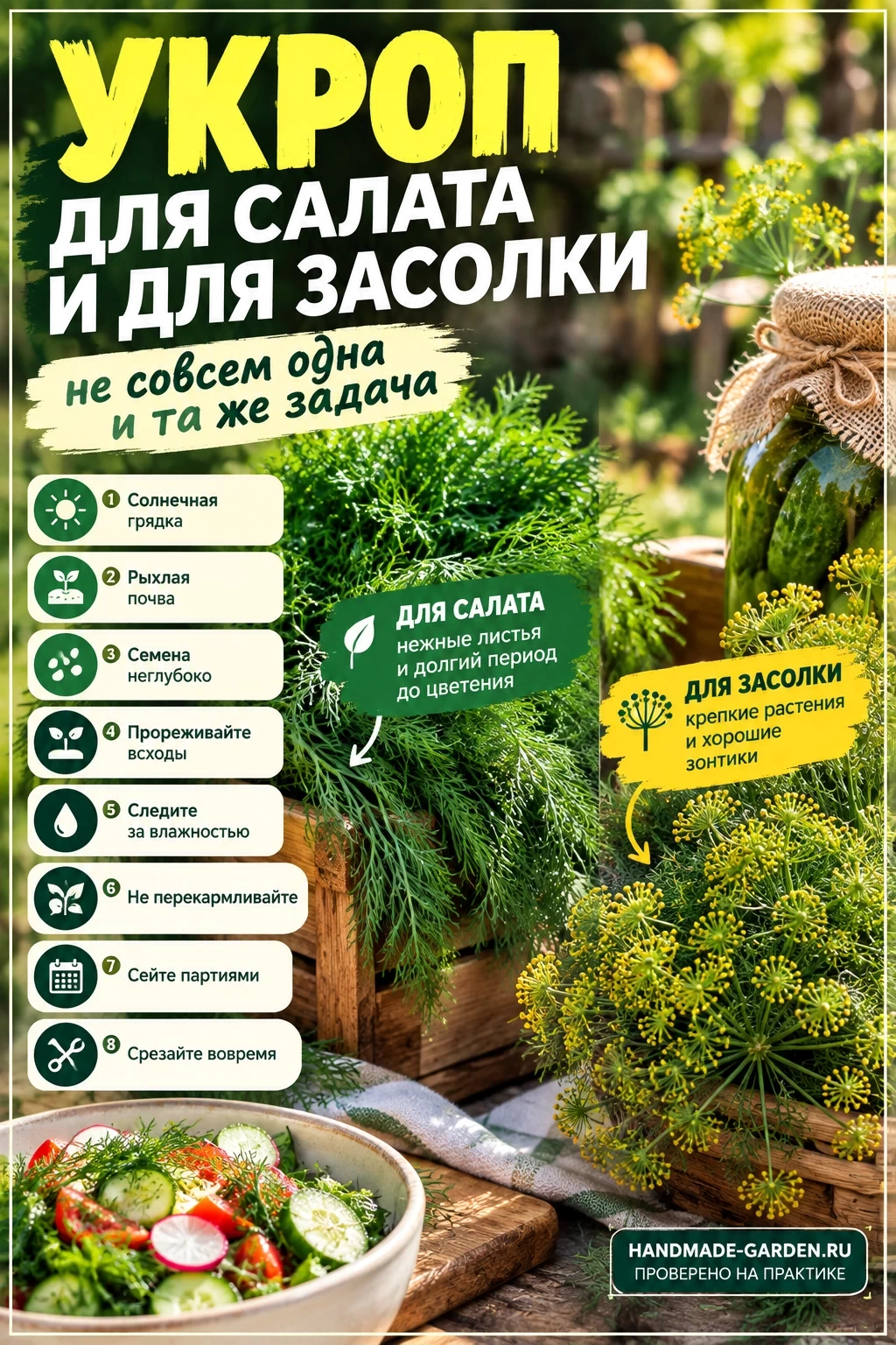 Какой выбрать укроп для салата и засолки