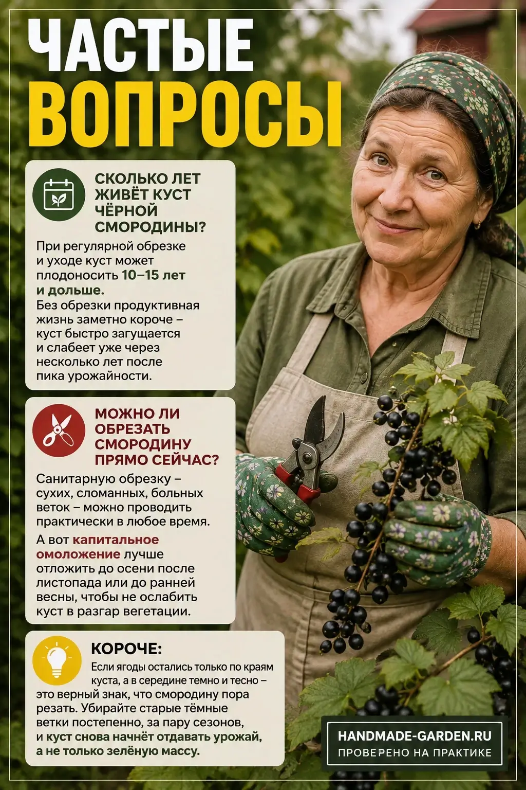 Вопросы про обрезку смородины