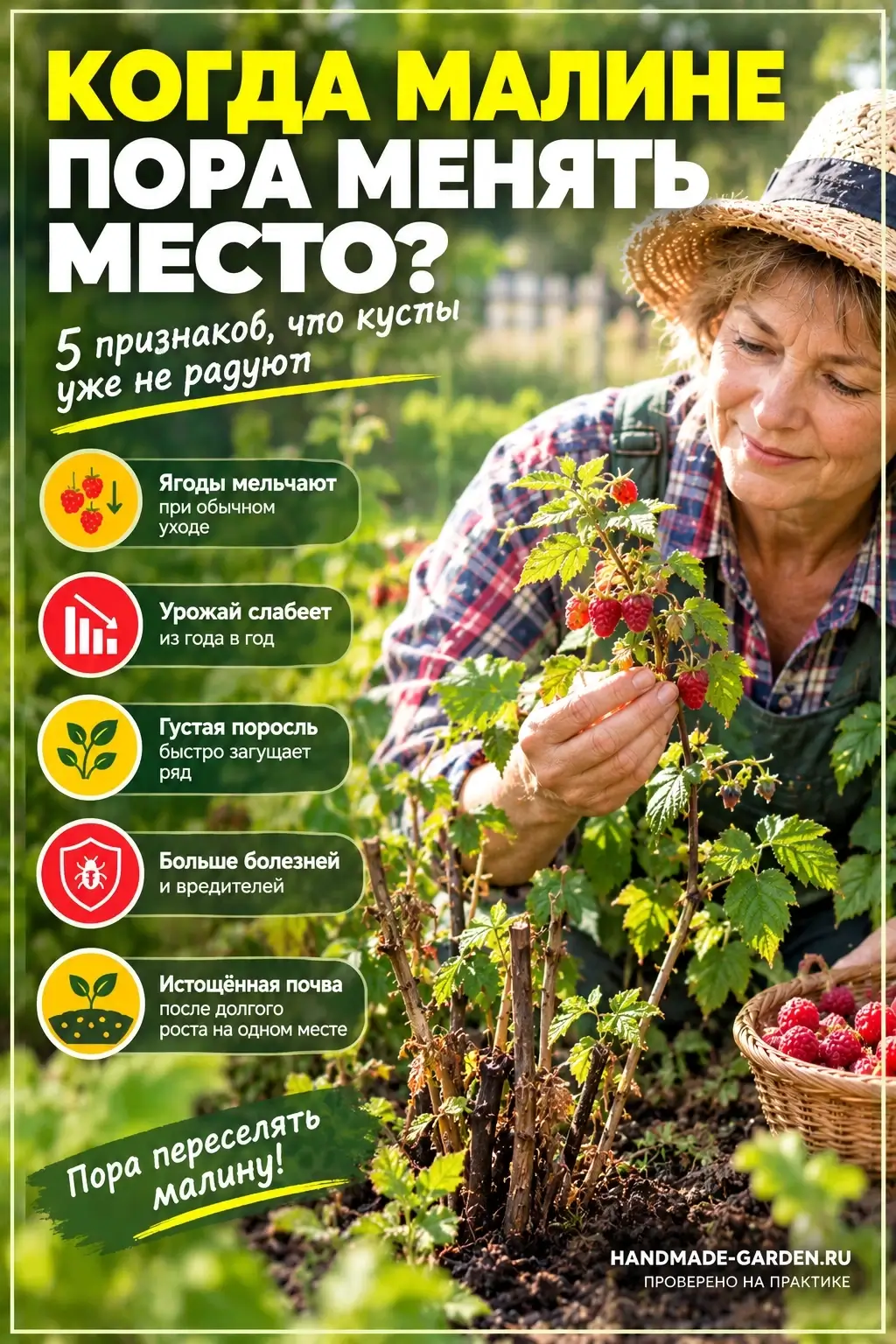 Когда малине пора менять место