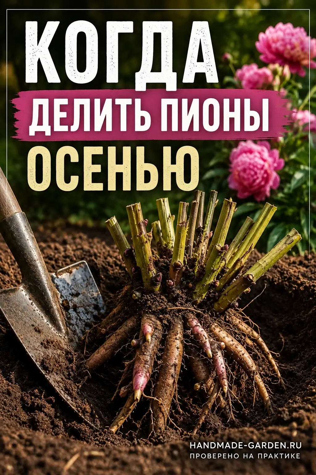 Подготовить место для нового пиона