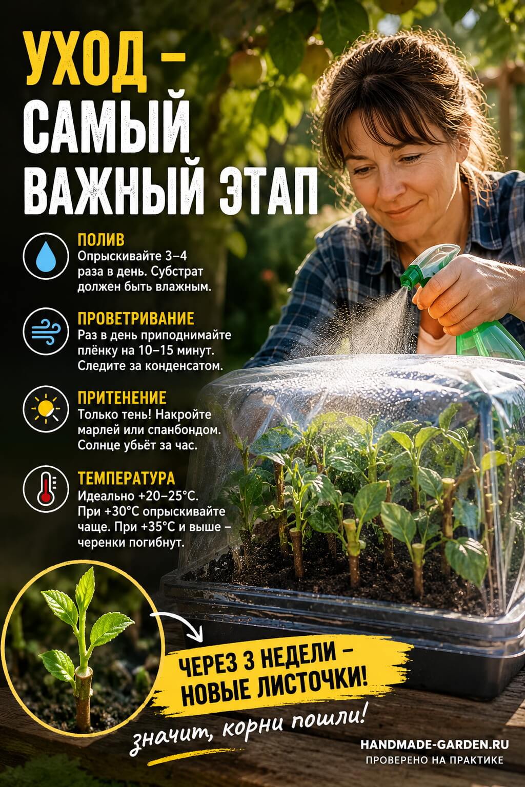 Уход за черенками