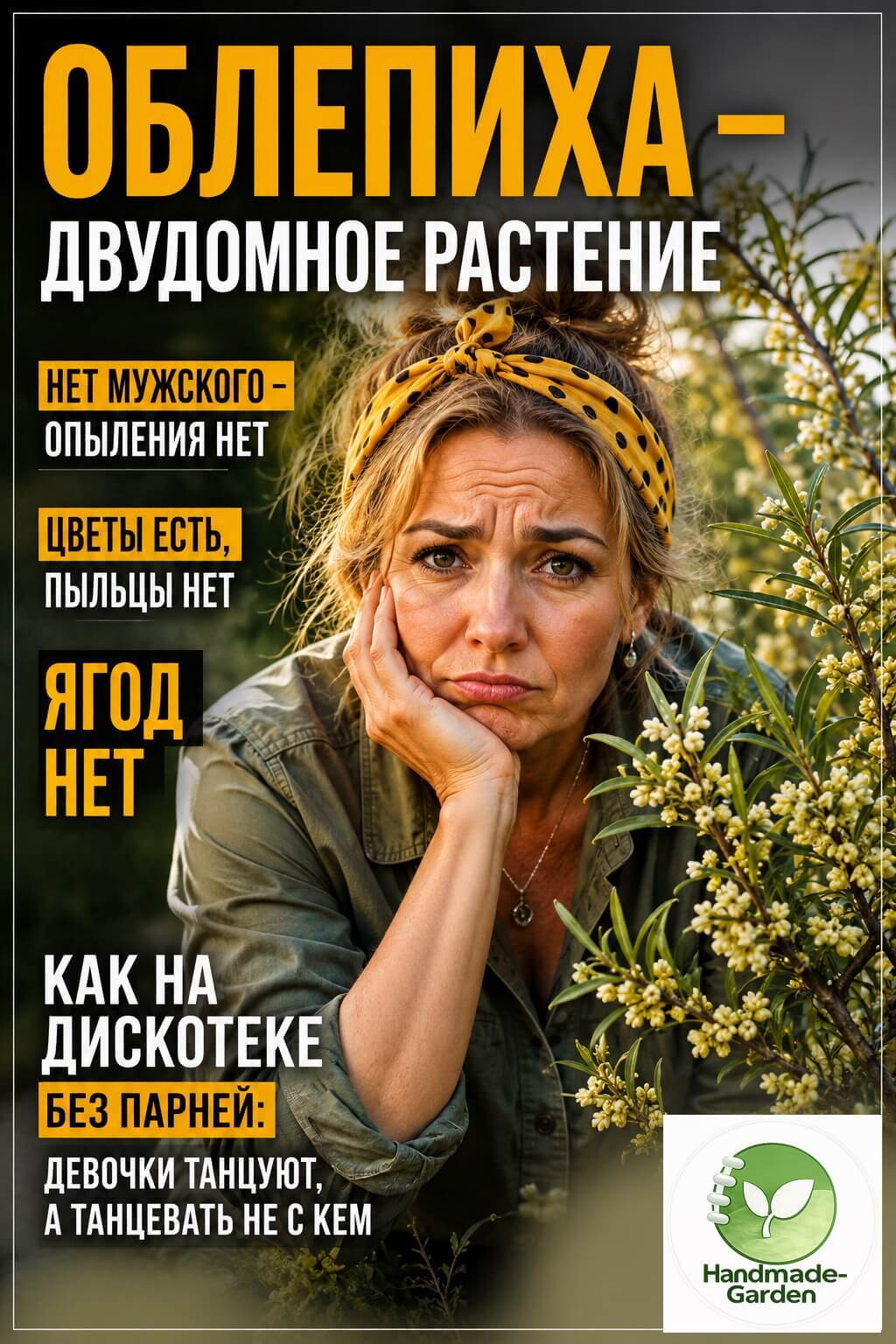 Облепиха &mdash; двудомное растение