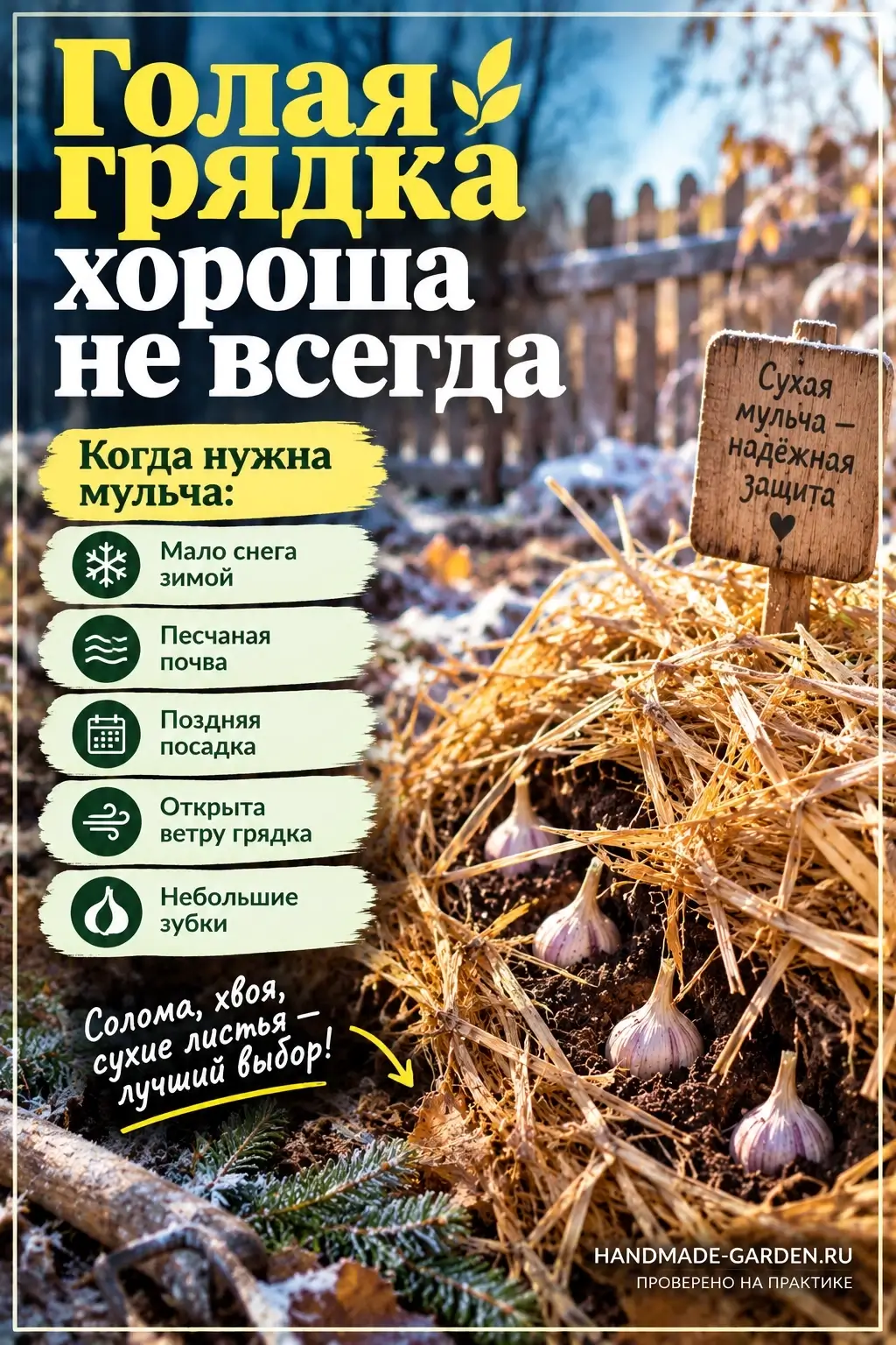 Голая грядка под чеснок