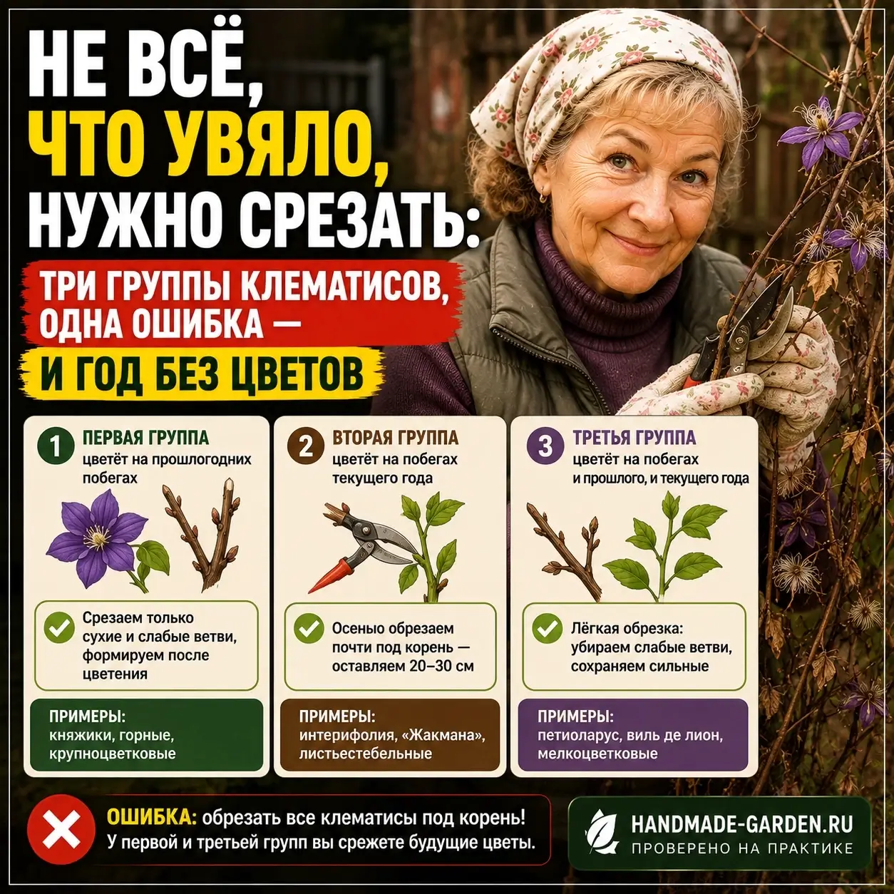 Не всё, что увяло, нужно срезать: Три группы клематисов, одна ошибка &mdash; и год без цветов