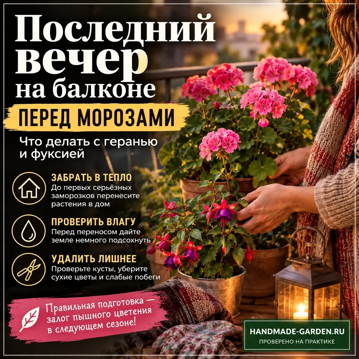 Почему в квартире растениям может быть хуже, чем на улице