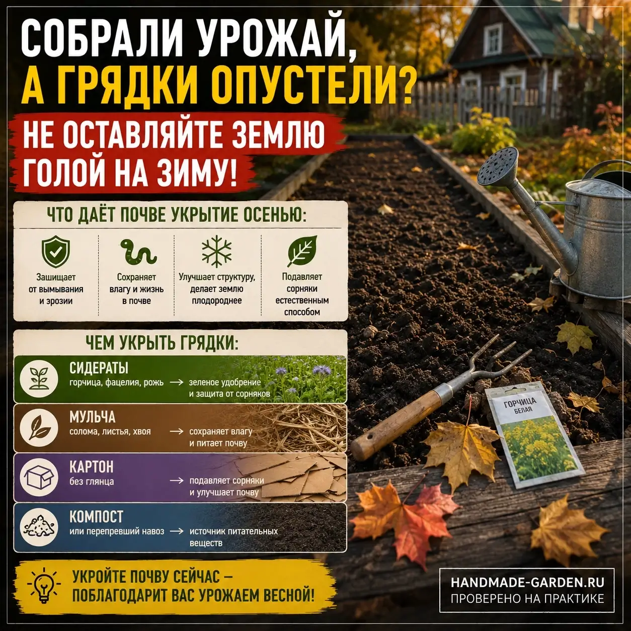 Голая земля до апреля &mdash; плохая идея: 10 способов занять землю до самой весны