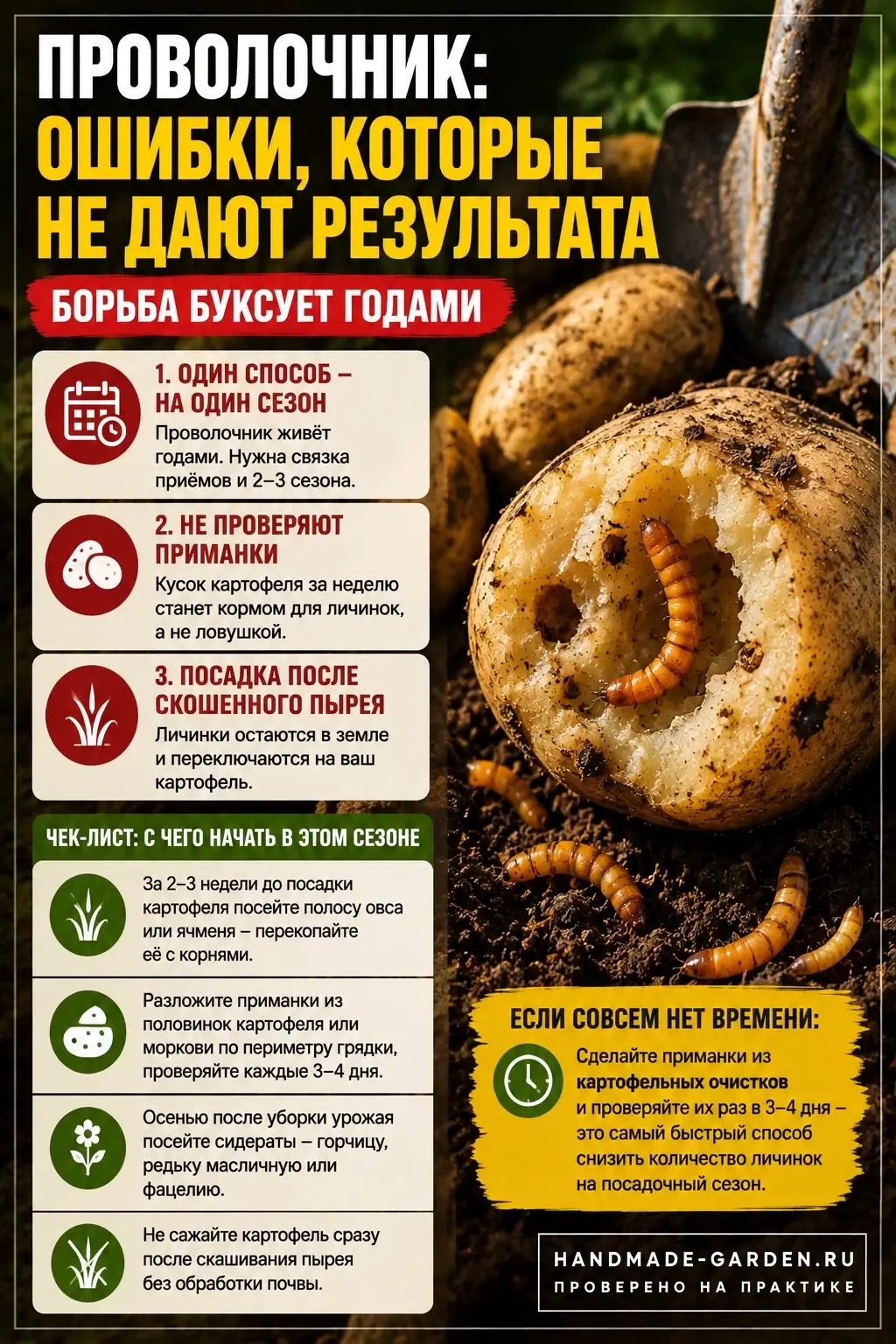 Ловчая грядка и приманки для проволочника