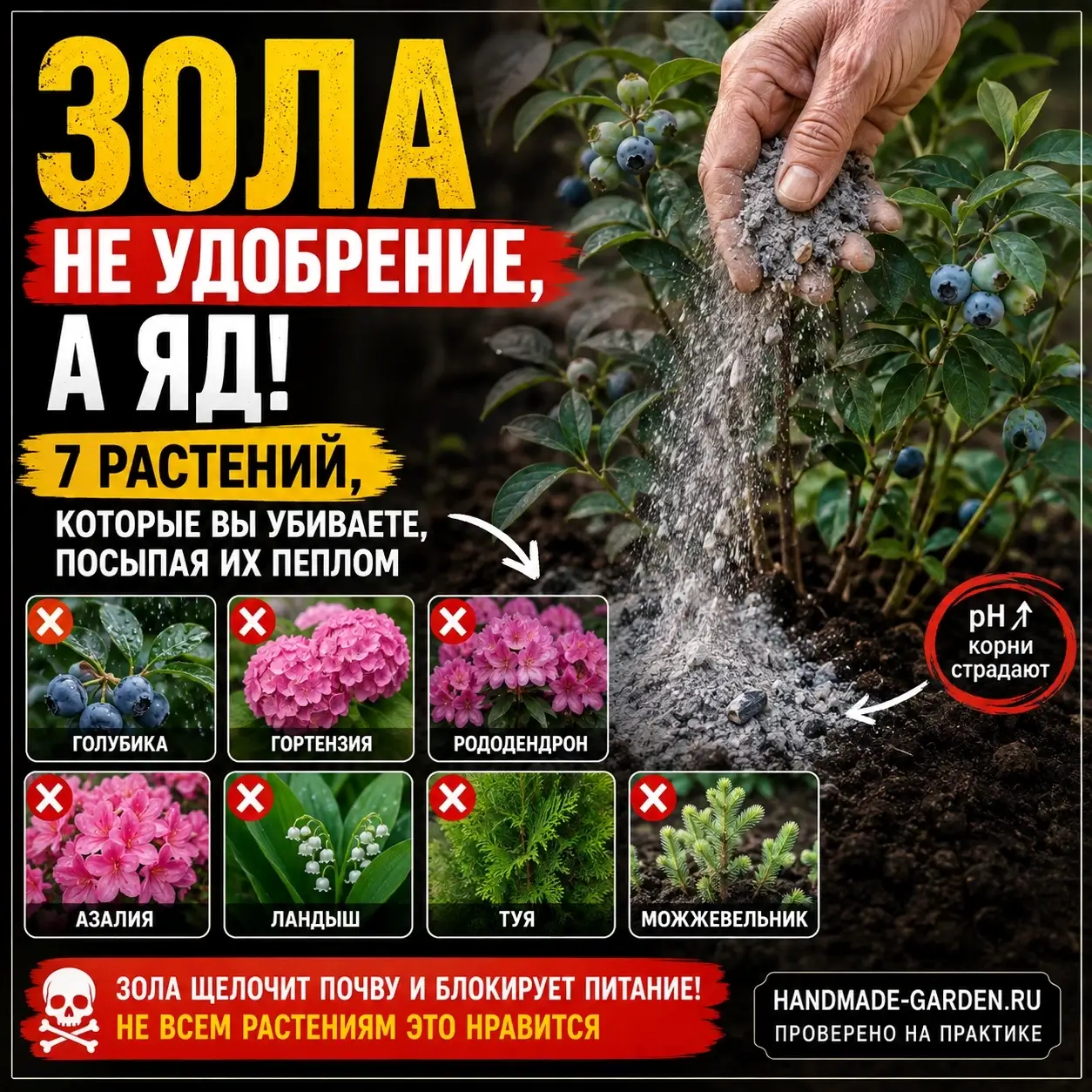 Зола &mdash; не удобрение, а яд: 7 растений, которые вы убиваете, посыпая их пеплом