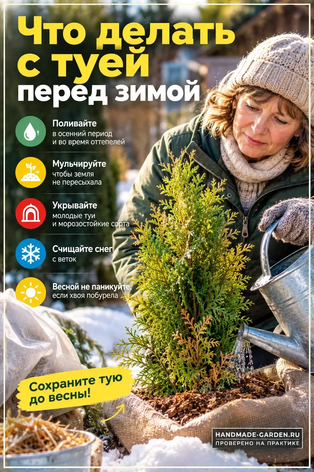 Что делать с туей перед зимой