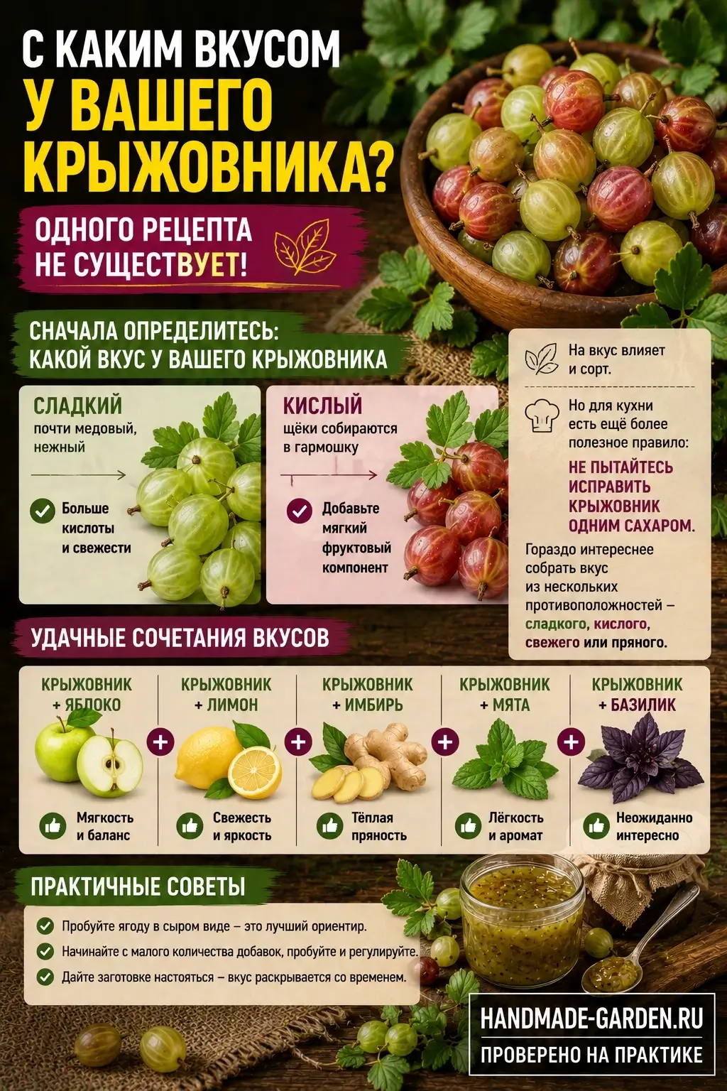Разные вкусы у крыжовника