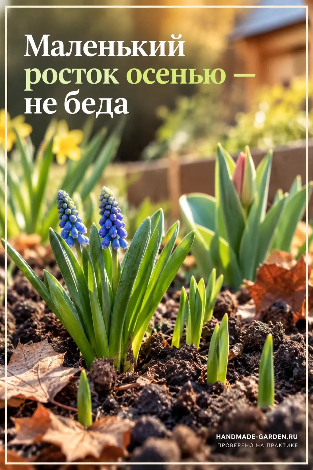 Пока лист живой, он работает на луковицу