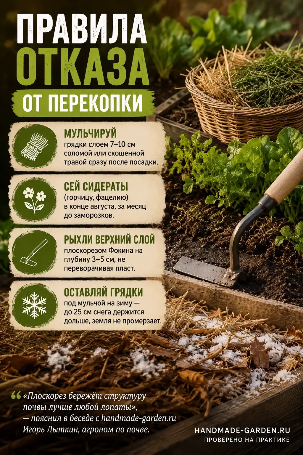 как отказ от перекопки изменил мою дачу