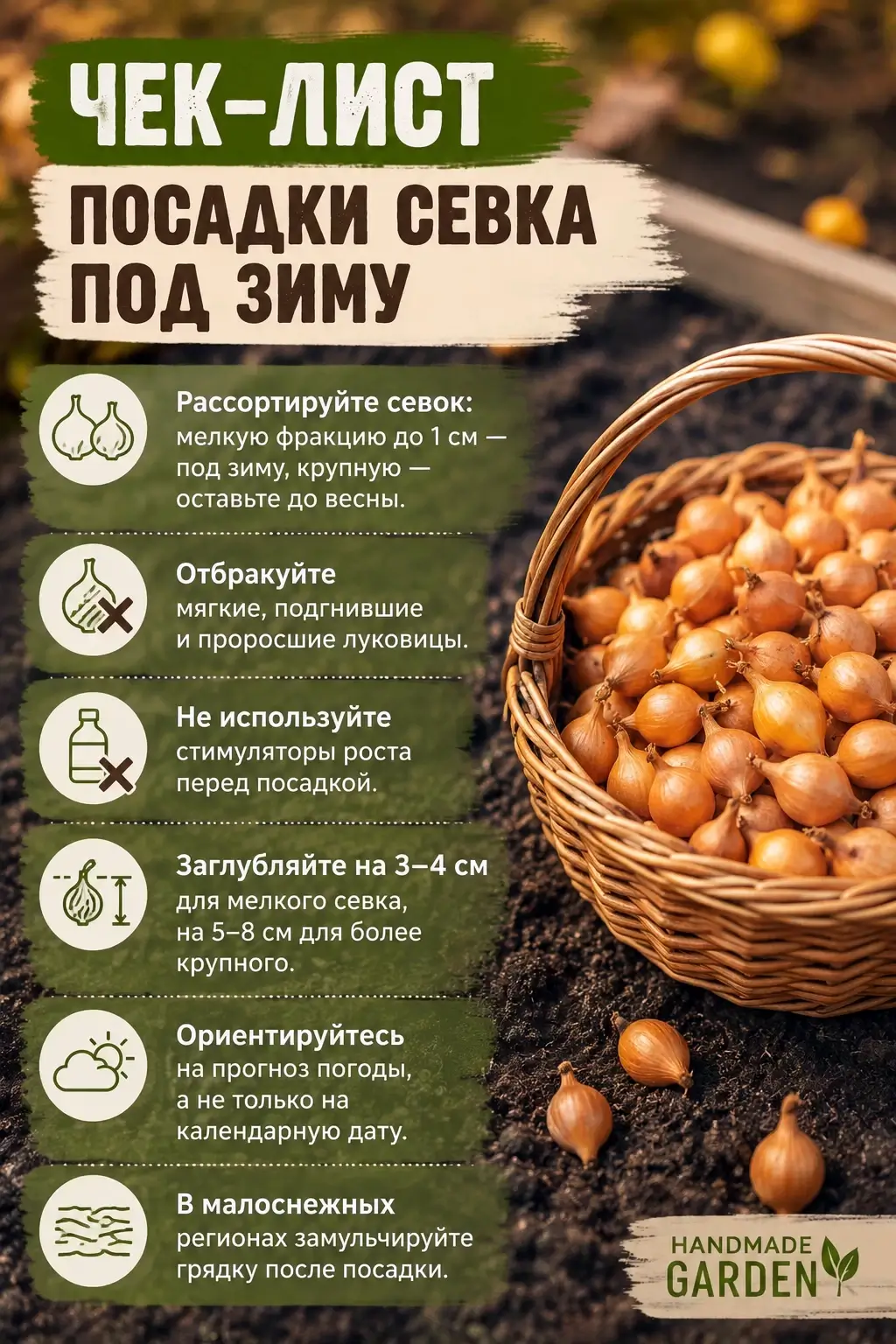 Чек-лист перед посадкой севка под зиму