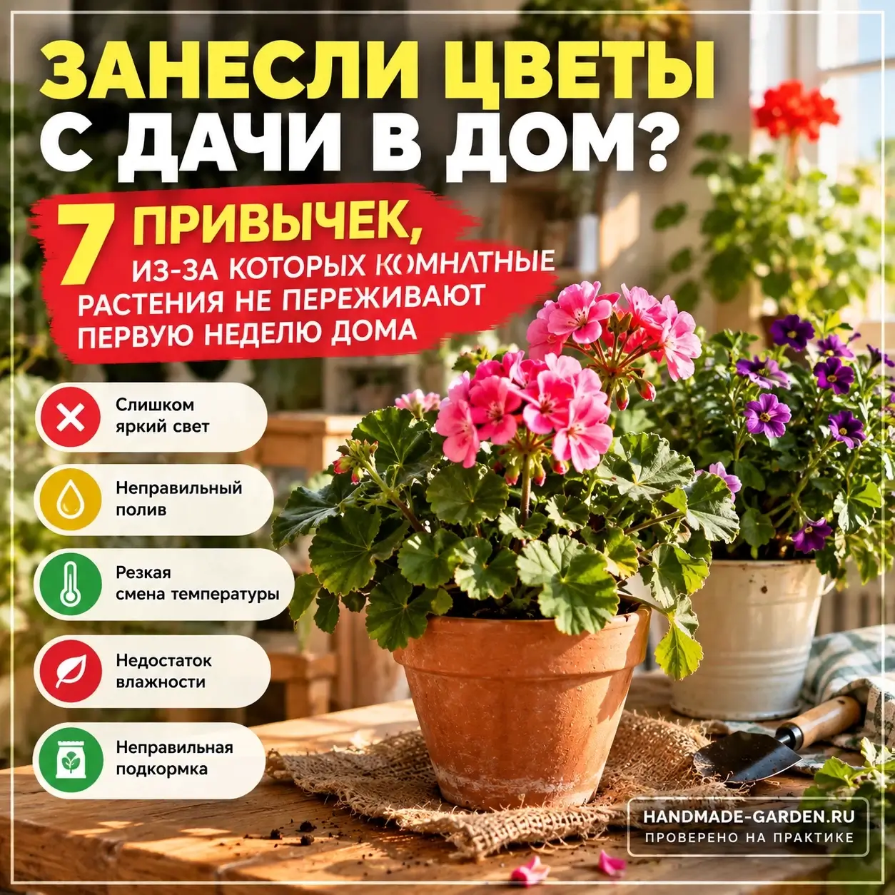Занесли цветы с дачи в дом? 7 привычек, из-за которых комнатные растения не переживают первую неделю дома