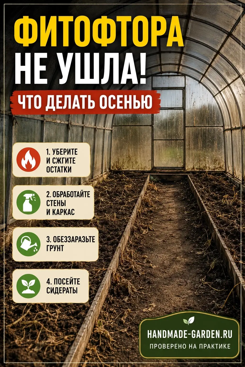 Фитофтора спит в почве