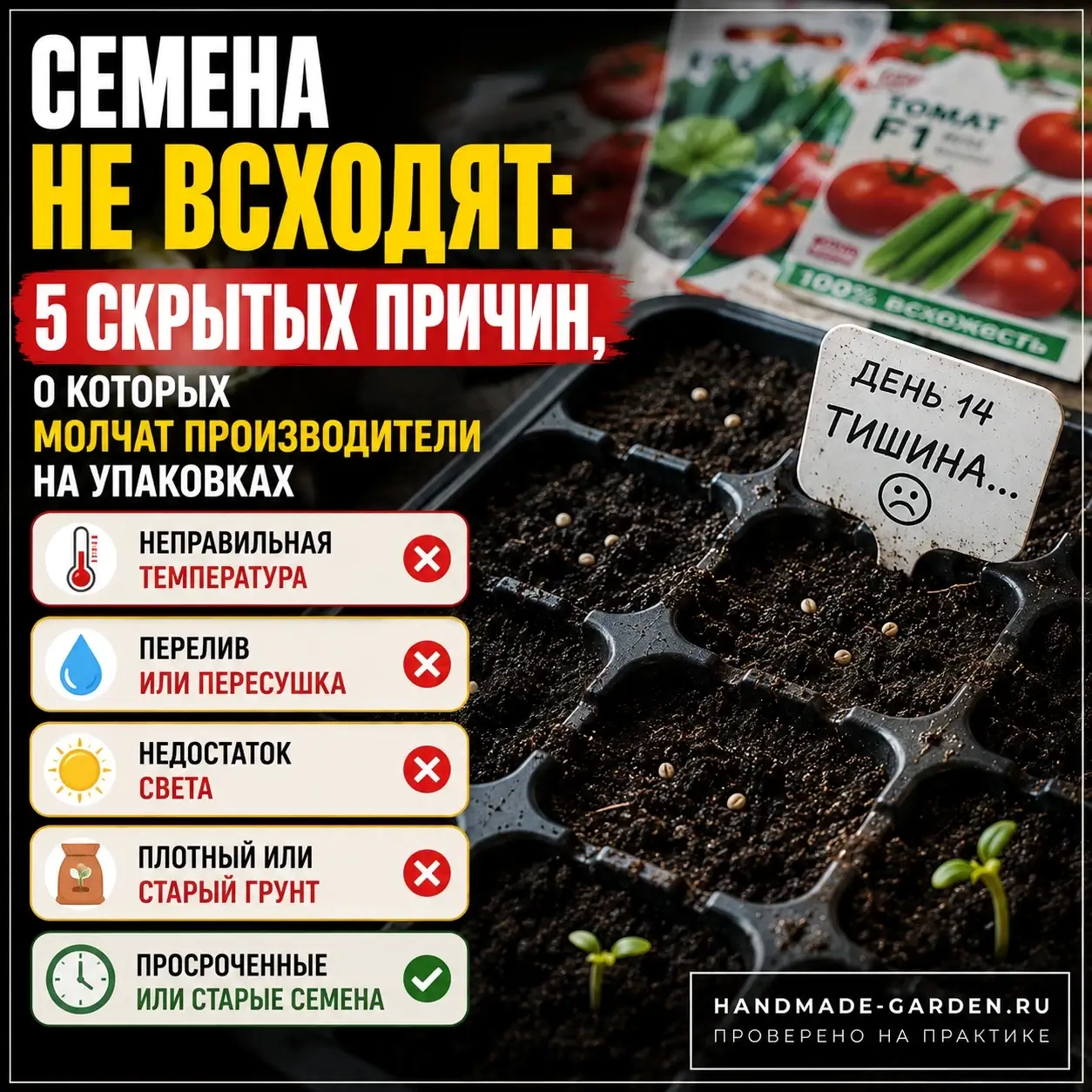 Семена не всходят: 5 скрытых причин, о которых молчат производители на упаковках