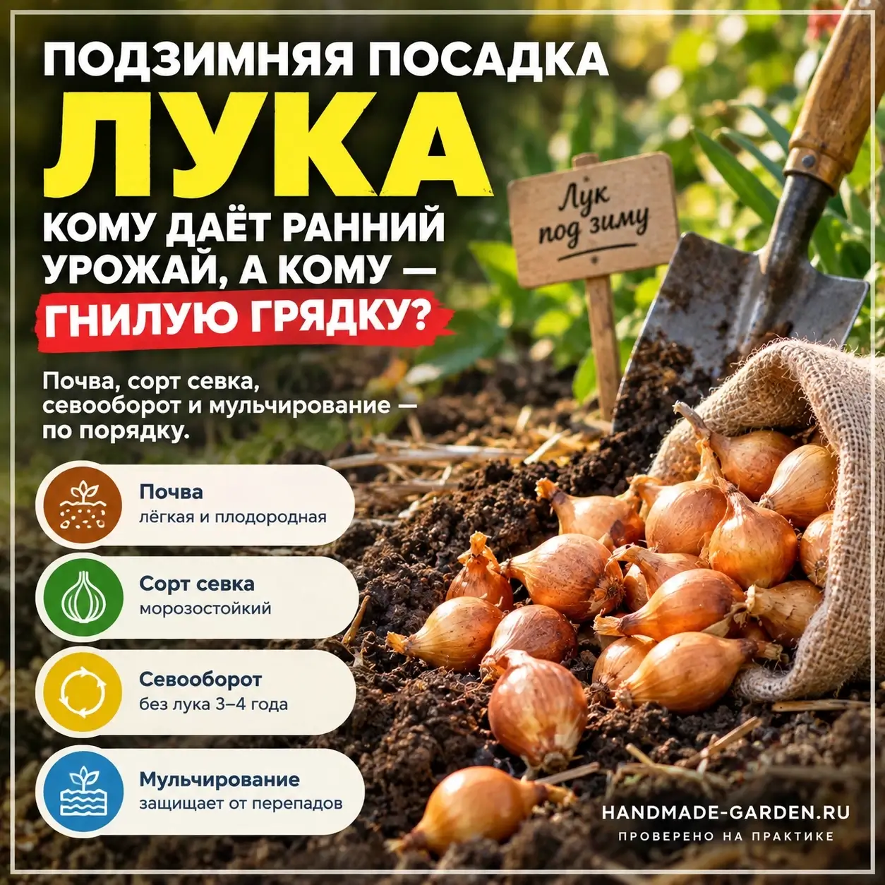 Лук под зиму: кому такая посадка подходит, а кому лучше не экспериментировать