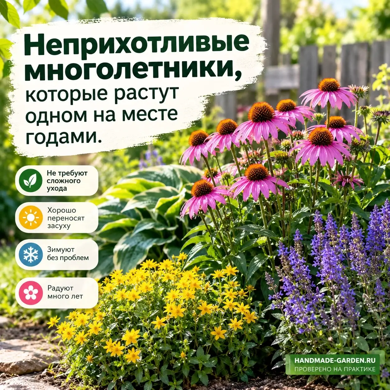 Посадили и почти забыли: какие многолетники цветут годами на одном месте