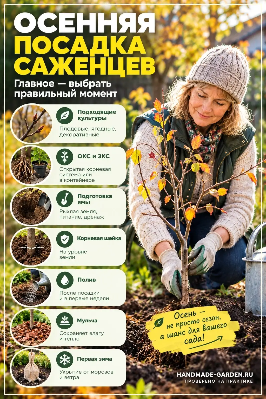 Выбор саженца для посадки