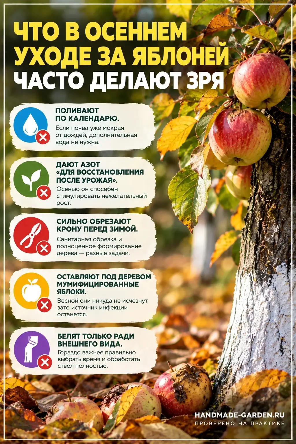 Осенний уход за яблоней: полив после листопада, подкормка