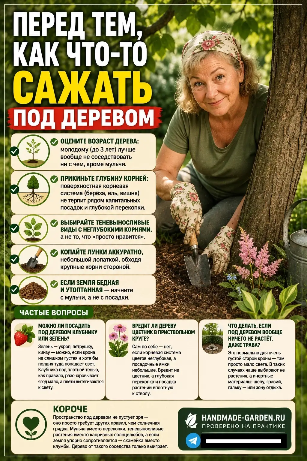 Что реально хорошо растёт в тени сада