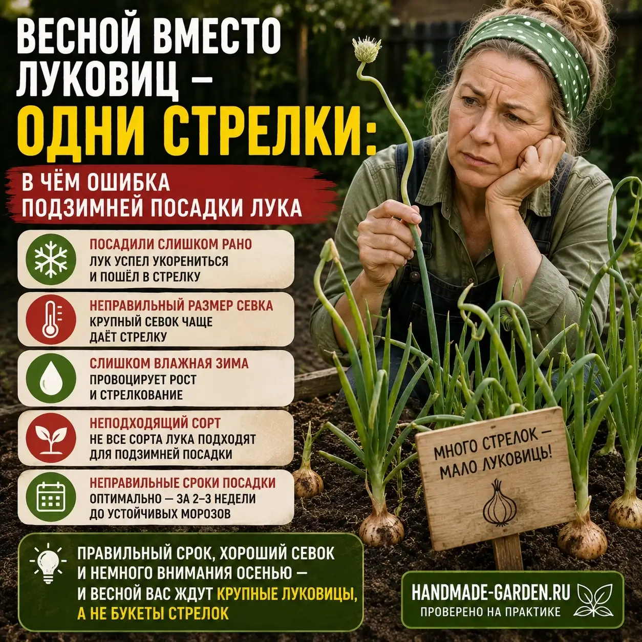 Лук уходит в стрелку