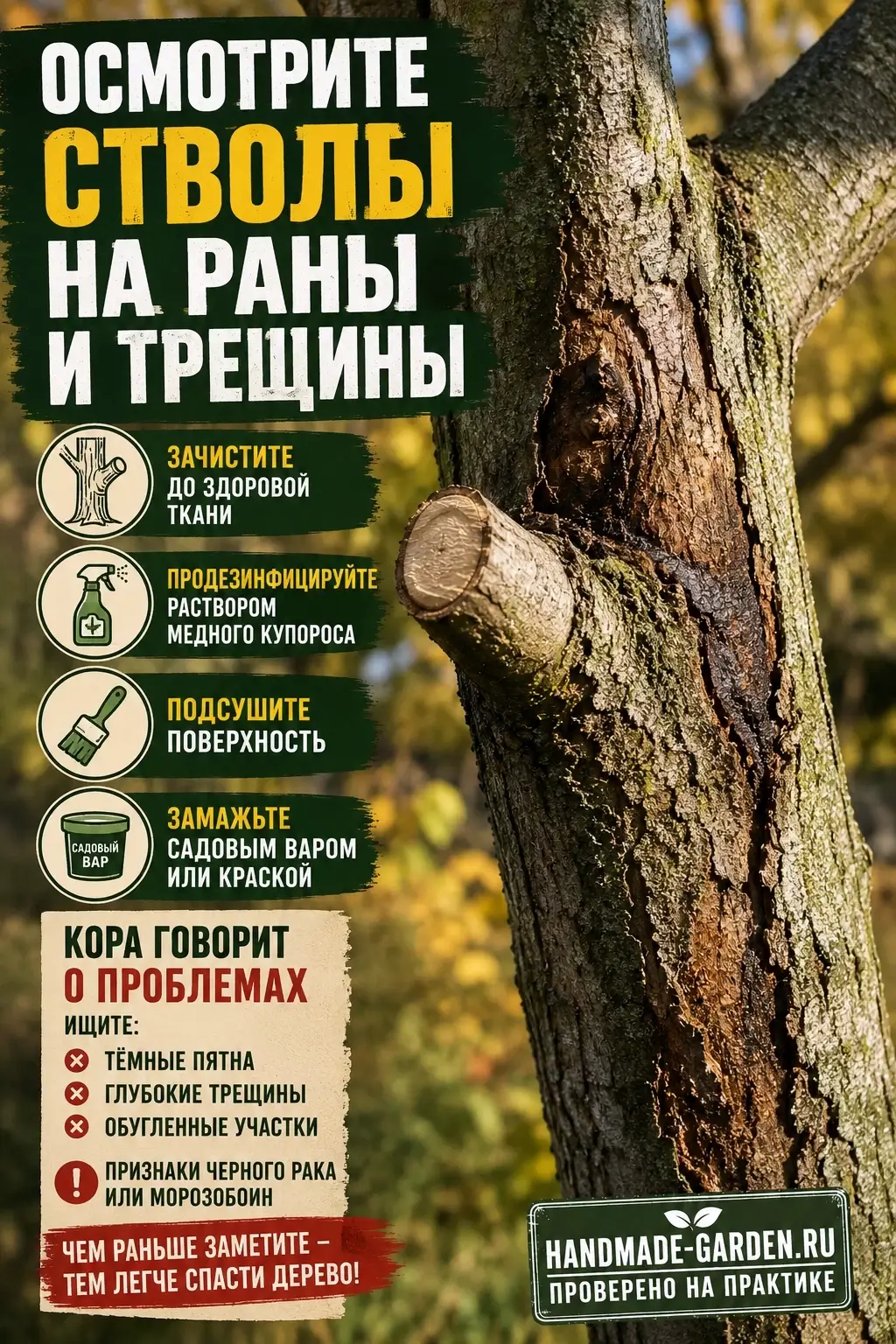 Осмотрите стволы на раны и трещины
